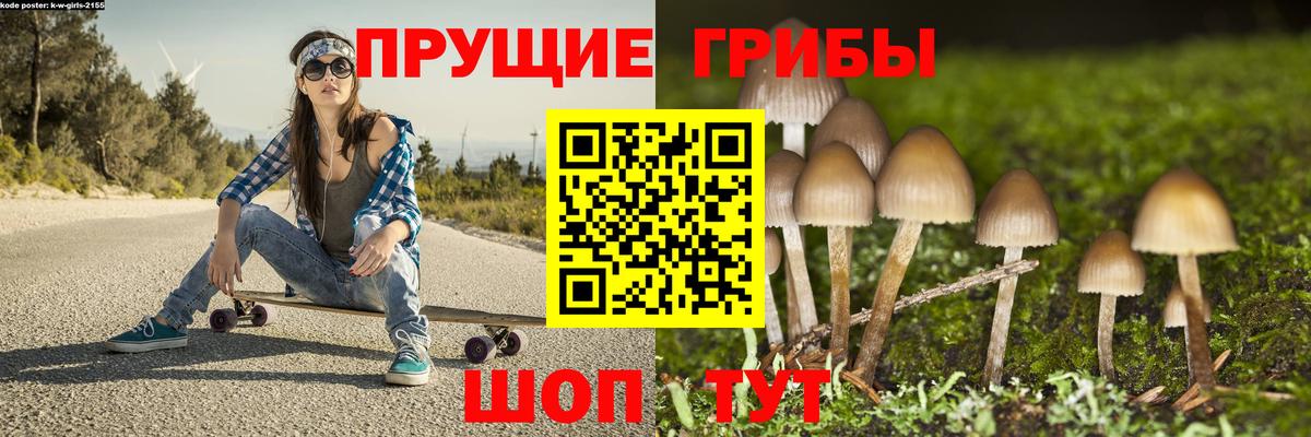 Псилоцибиновые грибы Cubensis  Вход с VPN  Амурск 