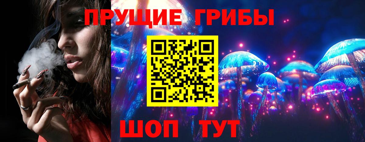 Псилоцибиновые грибы Cubensis Амурск